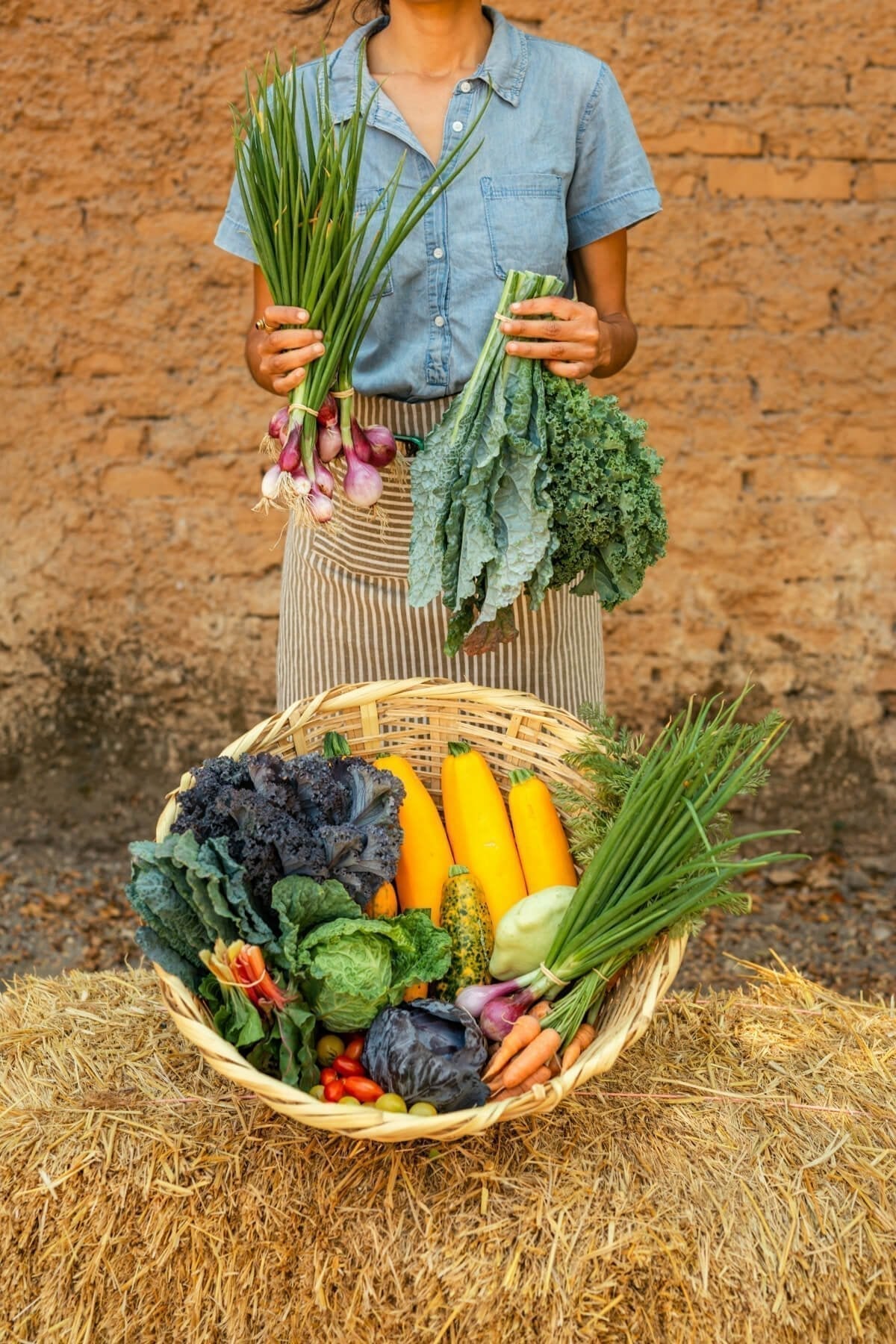 7 Vitamins and Minerals to Boost Energy - VITBLISS