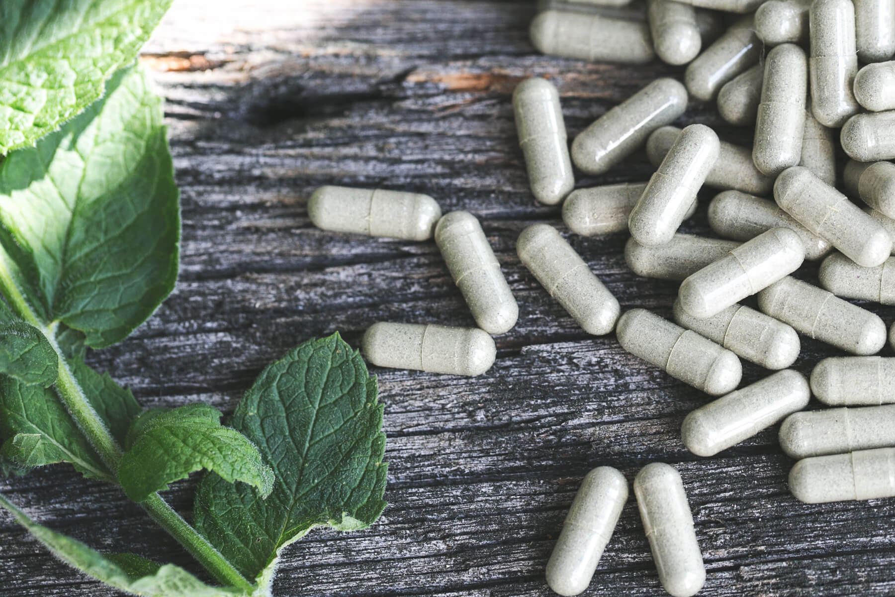 Best magnesium citrate? Top 5 brands and their benefits! - VITBLISS