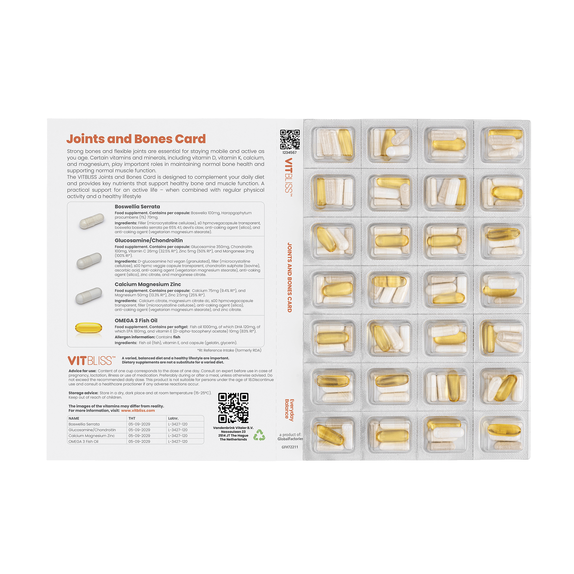 Joints and Bones Card - VITBLISS