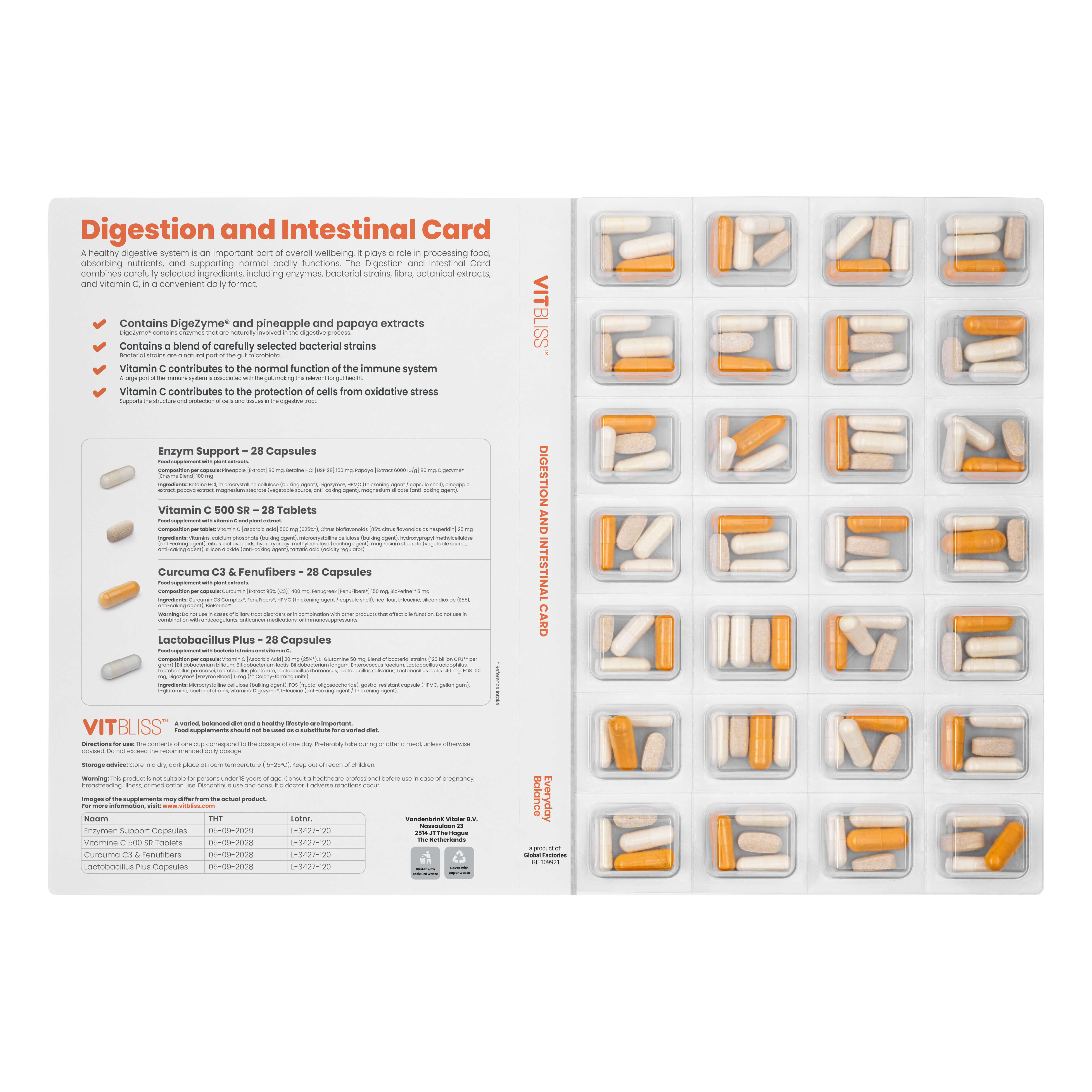 Digestion and Intestinal Card - VITBLISS