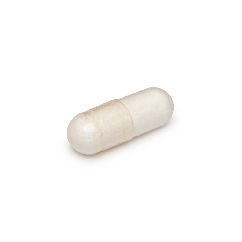 Enzym Support Caps - VITBLISS