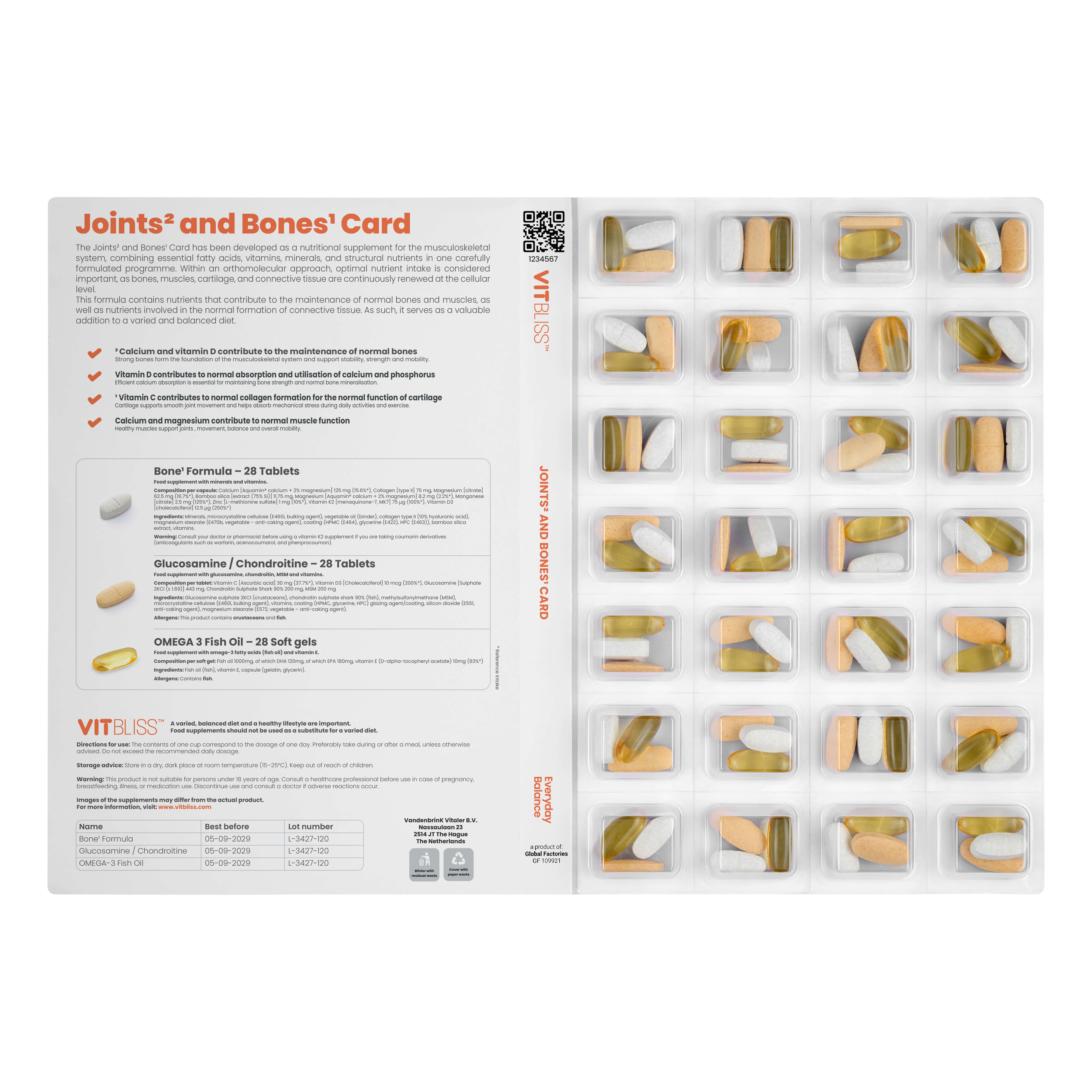 Joints and Bones Card - VITBLISS