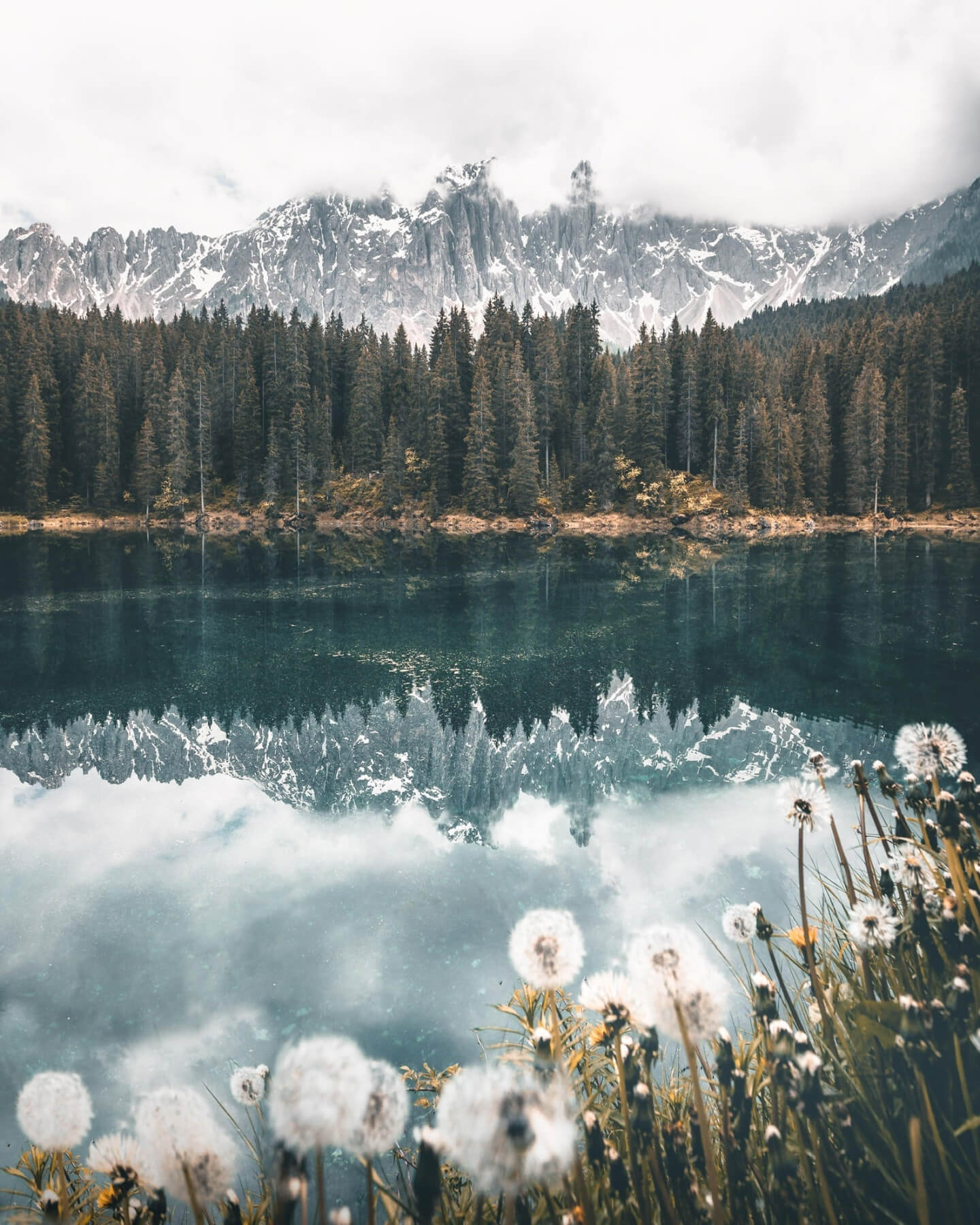 Lake surrounded by trees with snow-capped mountains in the background
