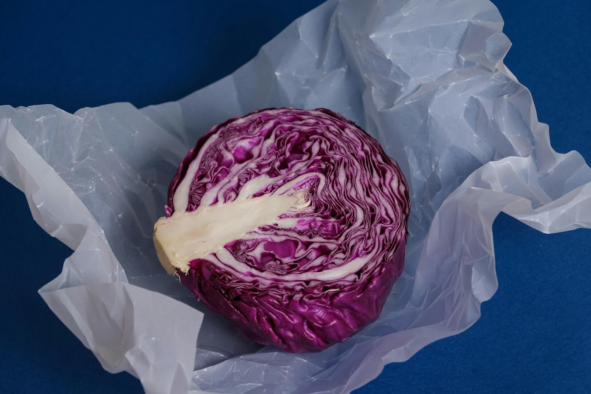 Half of a purple cabbage on crumpled white paper against a blue background
